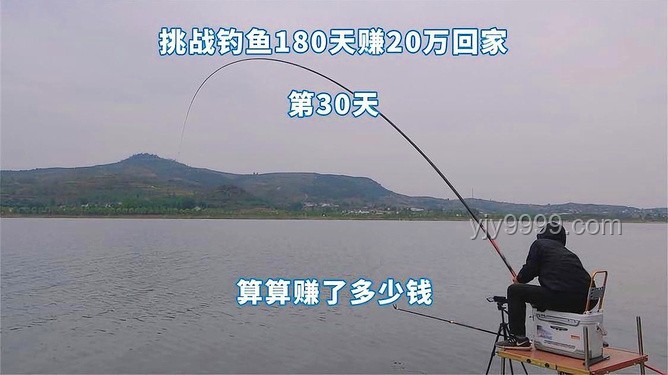 探秘巨物钓场：与小飞哥共钓大青鱼，解锁赚钱新姿势