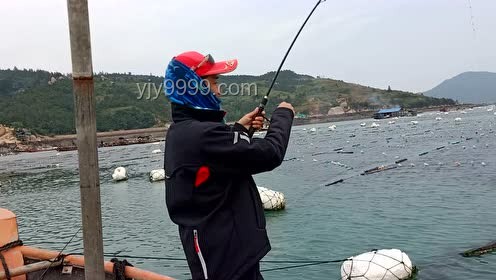 探秘巨物钓场：与小飞哥共钓大青鱼，解锁赚钱新姿势