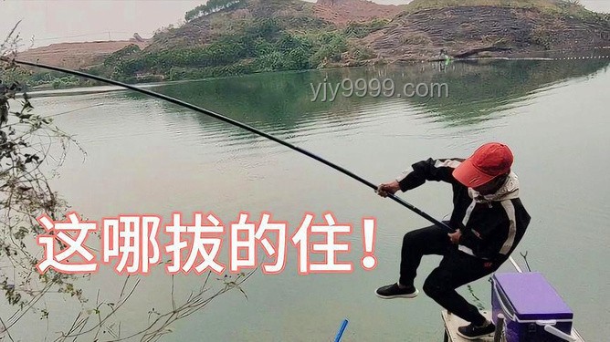 探秘巨物钓场：与小飞哥共钓大青鱼，解锁赚钱新姿势